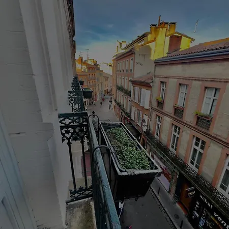 Capitole - T2 Au Coeur De La Rose
